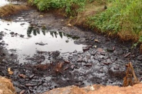 Article : Identification des déchets toxiques au Sénégal : le Sénégal en ligne de mire !