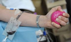 Article : Journée de la Femme : les femmes  déplorent le manque criard de sang dans les hôpitaux !